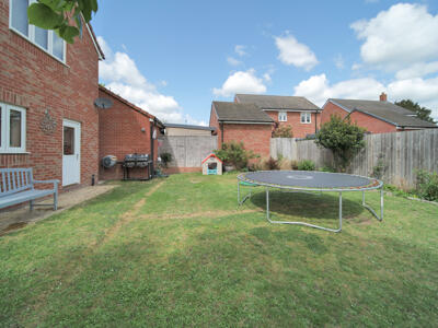 Picture 25